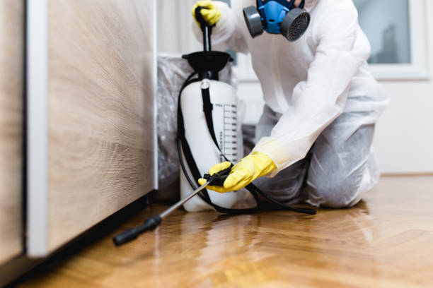 Best Pest Inspection Near Me  in Lemoore Station, CA