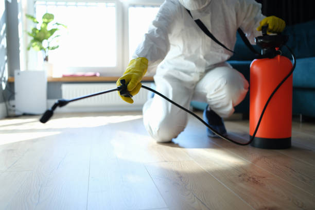Wasp Removal Services in Lemoore Station, CA