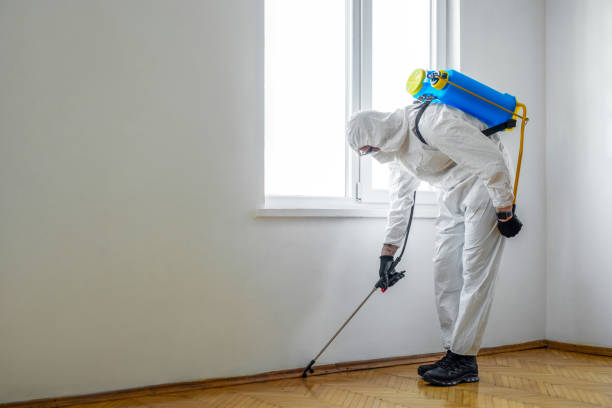 Best Emergency Pest Control  in Lemoore Station, CA