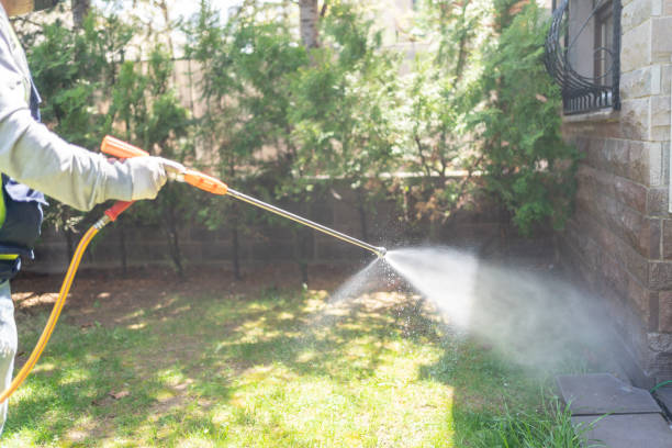 Trusted Lemoore Station, CA Pest Control Experts