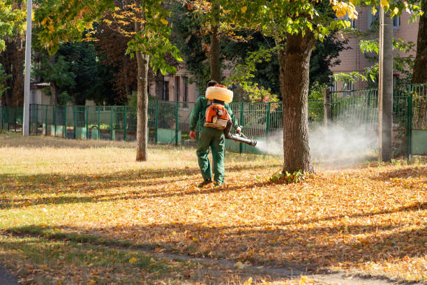 Best Affordable Pest Control Services  in Lemoore Station, CA