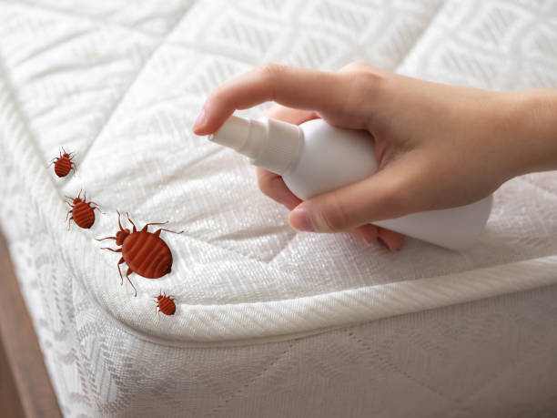 Best Flea Control Services  in Lemoore Station, CA